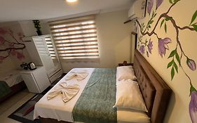 Sultanahmet Blue Apart Hotel